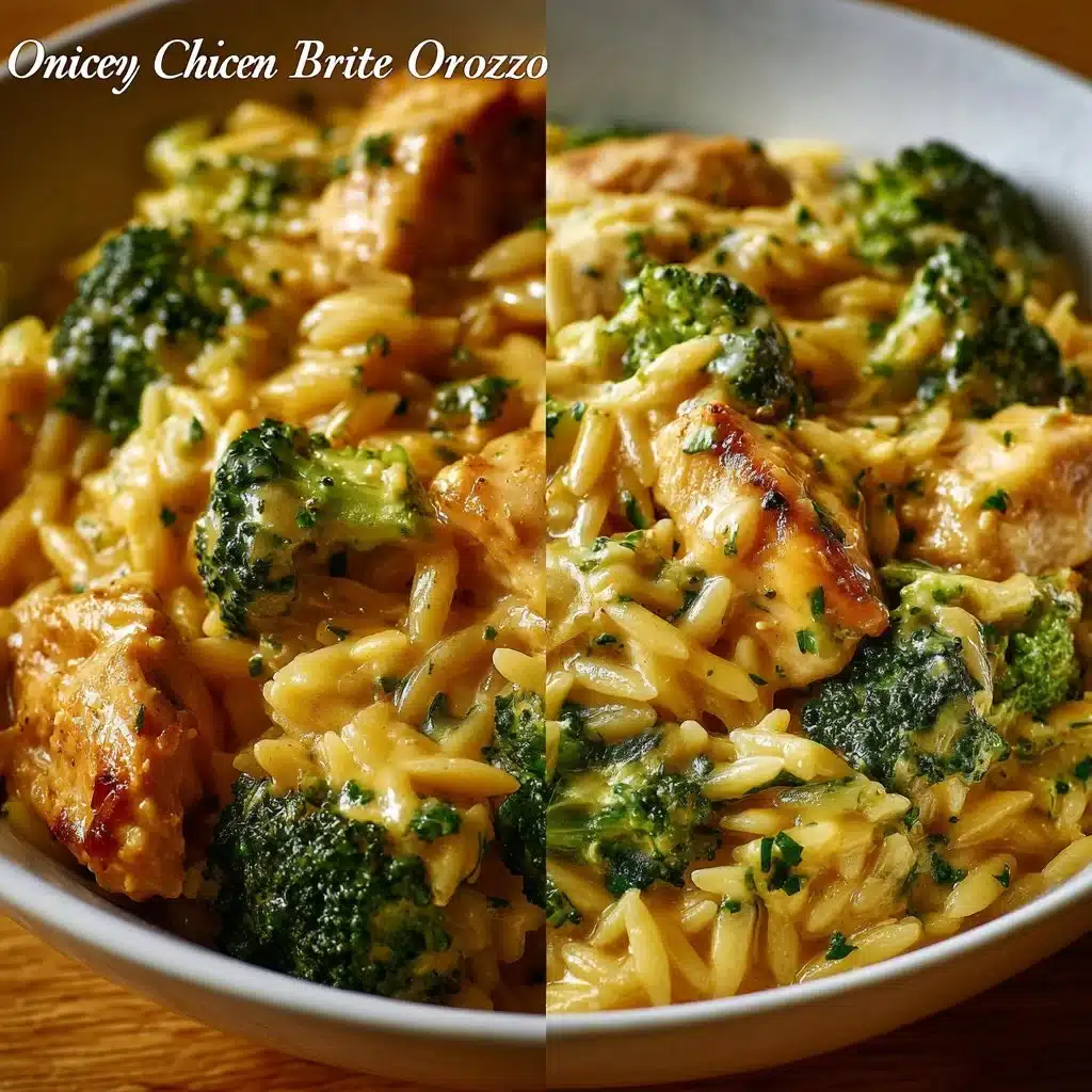 Cheesy Chicken Broccoli Orzo