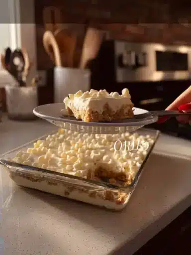 Delicious Golden Oreo cheesecake slice topped with whipped cream and cookie crumbs